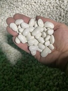 Fasola Jaś Karłowy 25 kg