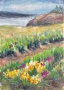 Kwitnące irysy Original Akwarela A4