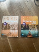 Gold Experience B1+