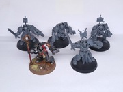 Grey Knights Terminator/Paladin Squad 5x plus bitsy