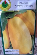 Kabaczek nasiona 