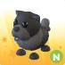 Neon Black Chow-Chow | Adopt Me | Roblox |