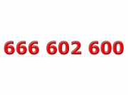 Złoty numer ____ 666 602 600 ____ Platynowy - ViP