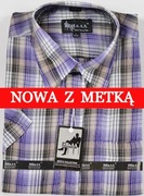 Koszula męska fioletowa w paski na krótki rękaw kołnierzyk 41/42