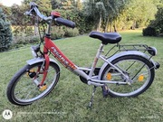 Pegasus Zoom 3 biegi 