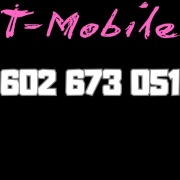 602 673 051 prosty ładny złoty ciekawy numer stary prefiks