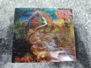 Morbid Angel - Blessed are the Sick 