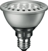 Żarówka punktowa LED PHILIPS Master LEDspot PAR30S | E27 9,5-75W 2700K
