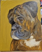 Portret psa,boksera