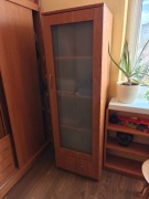 Szafka, witryna z szybą 50x40x160cm