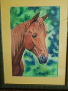 Głowa konia- pastel