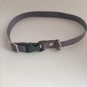 Obroża regulowana dla kota regulowana 25 cm