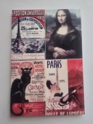 Magnes na lodówkę Paris Paryż Francja France Mona Liza Luwr (33)