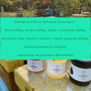 Miód polski ilości hurtowe