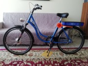 rower elektryczny 250 watt 36 volt