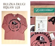 Bluzka longsleeve Cocodrillo ceglasta dinozaur 158