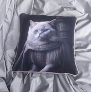 Poduszki dekoracyjne kot