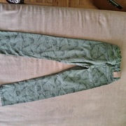 Spodnie chłopięce dinozaury H&M 134