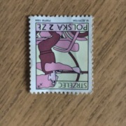 Znak zodiaku strzelec 1996