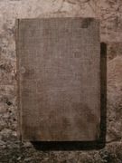 Książka Pustkowie Karol Dickens Poznań 1918 rok 