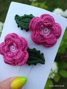 miły spineczki róży