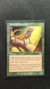 MtG Basking Rootwalla- komplet 4 szt. 