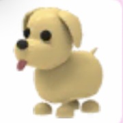 6x dog - Adopt Me Roblox