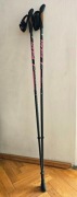 Kije nordic walking FIZAN RUNNER carbon 110