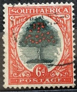 RPA (South Africa), Drzewo pomarańczowe (Orange Tree), 6 pensów (6d)