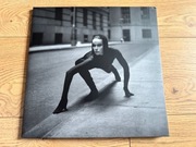 ANBB Mimikry 2LP ALVA NOTO BLIXA BARGELD Raster-Noton OOP