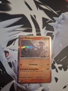 Karta Pokemon TCG Reshiram PFL 017 Holo