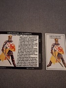 Magia i miecz karta postaci