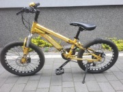 Mtb rower caraiman 20"