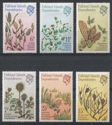 FALKLANDY - ROŚLINY - CZYSTE *