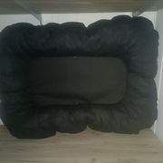 Ponton dla dużego psa 