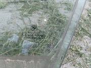 Bmw e46 98-05 szyba lewy przód 