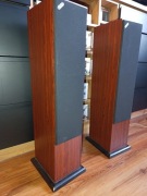 Kolumny głośnikowe Acoustic Energy AE109