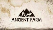 Ancient Farm Steam Key