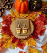 Kolczyki z gliny polimerowej i modeliny