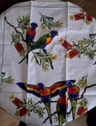 Australia Papuga serweta makata