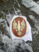 Orzeł godło ryngraf obraz 