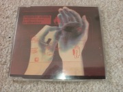 Massive Attack With Tracey Thorn - Protection CD Single