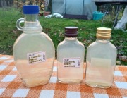 ŻYWY OCET Z KWIATÓW ROBINII AKACJOWEJ (100 ml) - W NASZEJ SPIŻARNI