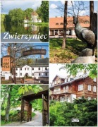 Widokówka ze Zwierzyńca ZW5