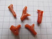 Koral Szlachetny - czerwony 5 szt. #A