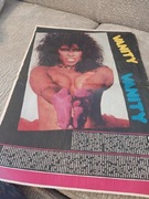 PLAKAT VANITY  ROZKŁADÓWKA Z GAZETY 