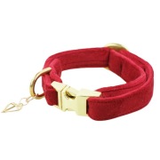 Welurowa obroża dla małego psa