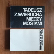 Między mostami - Tadeusz Zawierucha