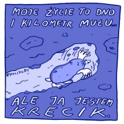 Krecik - plakat mały A5 kwadrat - Polikory