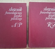 Słownik frazeologiczny języka polskiego 2 szt